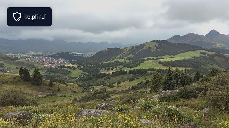 Prognozy gospodarcze na 2025 rok - optymizm ministra finansów i kluczowe zmiany